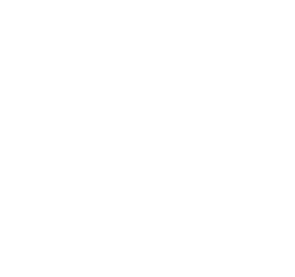 Saint Co Windsurf